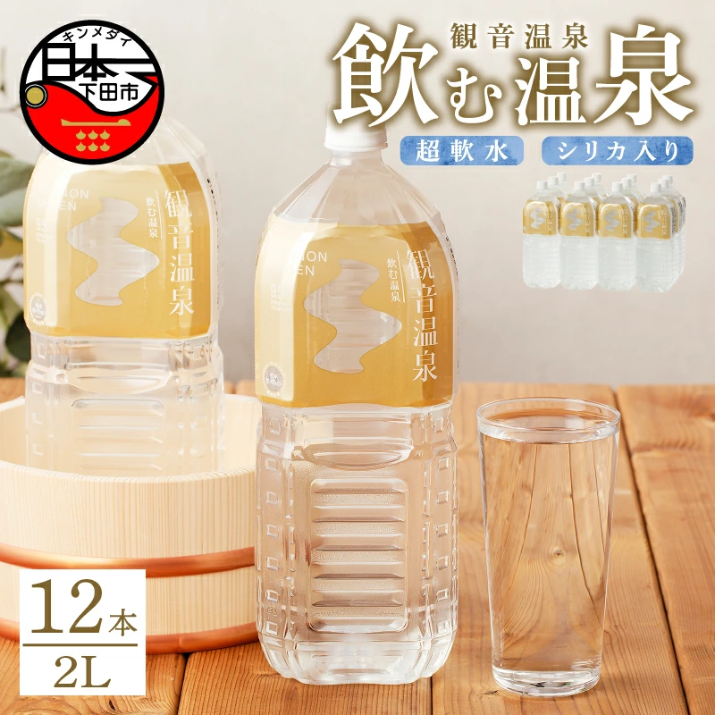 【ふるさと納税】 温泉水 飲む温泉水 国産 水 2L 6本 2ケース 12本 超軟水 美容 健康 料理 シリカ 飲むシリカ ミネラルウォーター 常温保存 備蓄 保存水 モンドセレクション最高金賞 静岡 伊豆 下田市 観音温泉 送料無料