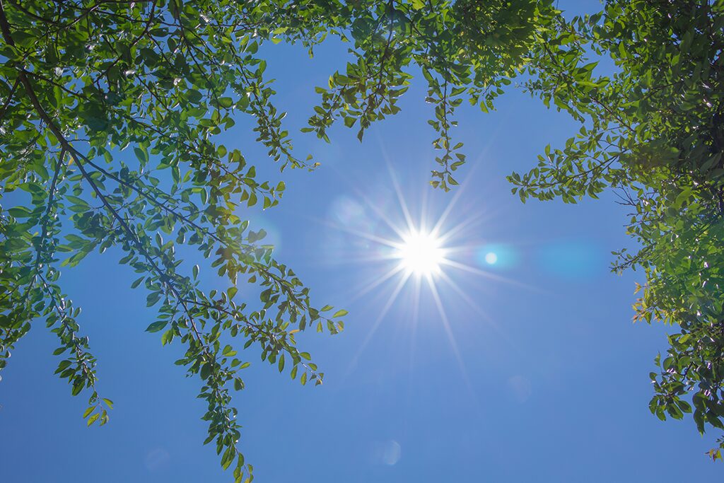 温泉水で熱中症予防と対策！夏の健康管理に役立つミネラル補給